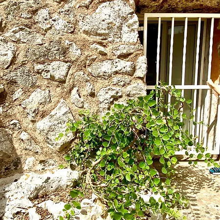 شقة La Pajara Del Trullo Vista Mare غاليانو دل كابو